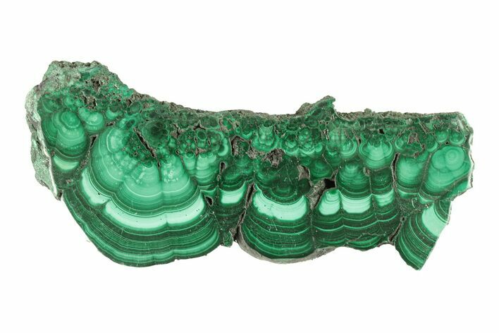 Polished Malachite Slab - DR Congo #266815